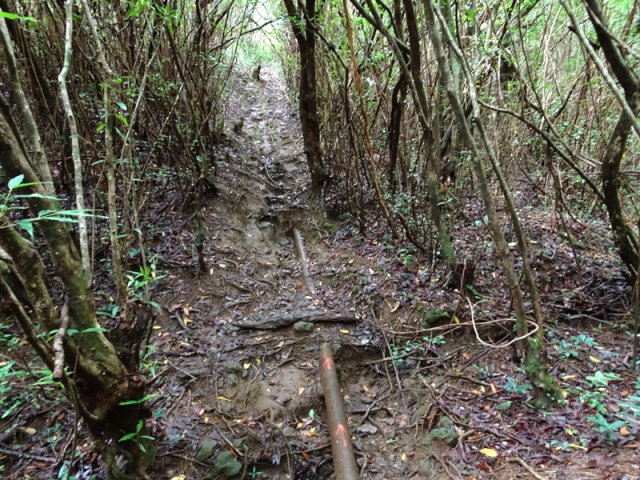 Tourner à gauche à la canalisation pour rejoindre la Grande Ravine