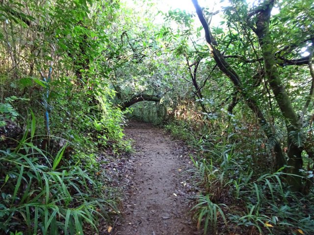 Le sentier menant aux bassins en amont du gué
