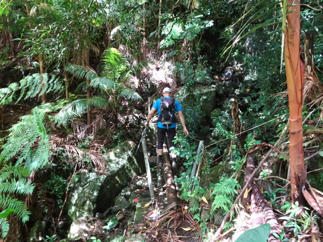 Une personne à la fois sur cette passerelle rouillée