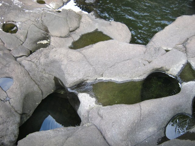 Les abords du haut de la cascade cachent de nouveaux trésors naturels