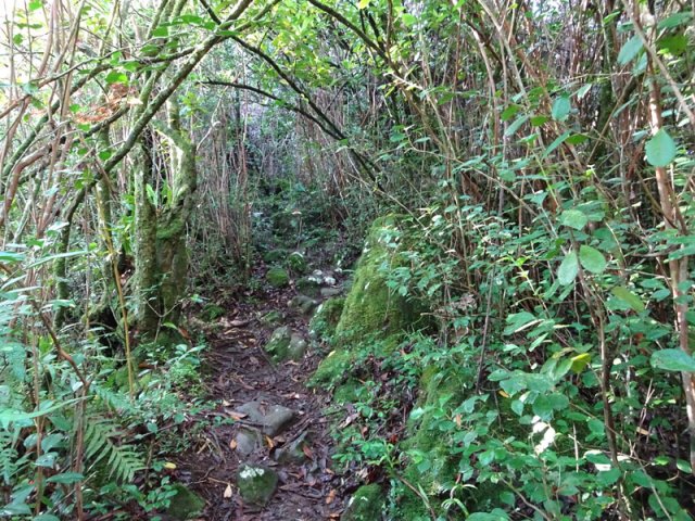 Sentiers caillouteux pour atteindre la rivière