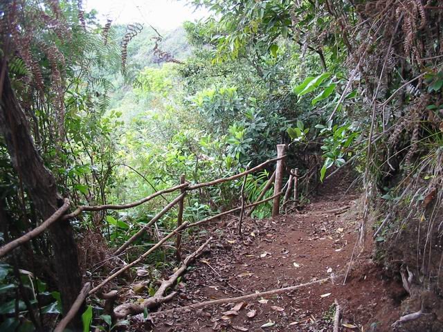 La longue, ardue et monotone descente vers les Canaux.