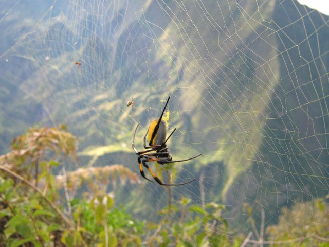 Chasse à la mouche en profitant des points de vue sur le Dimitile