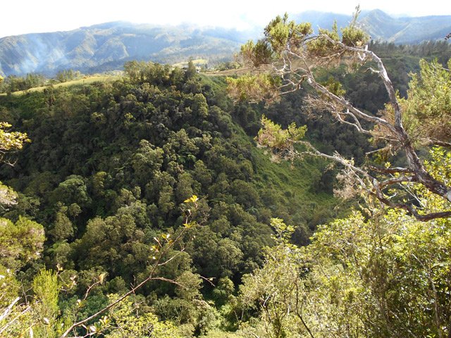 Vue sur l'autre rive du Bras Patates