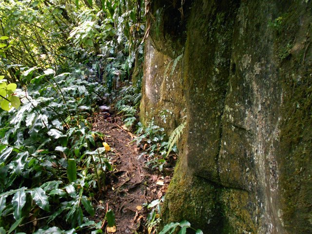 Passager rocheux dans les longoses