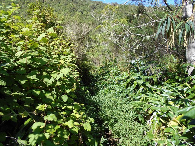 Le sentier, après la dernières cases, devient boueux