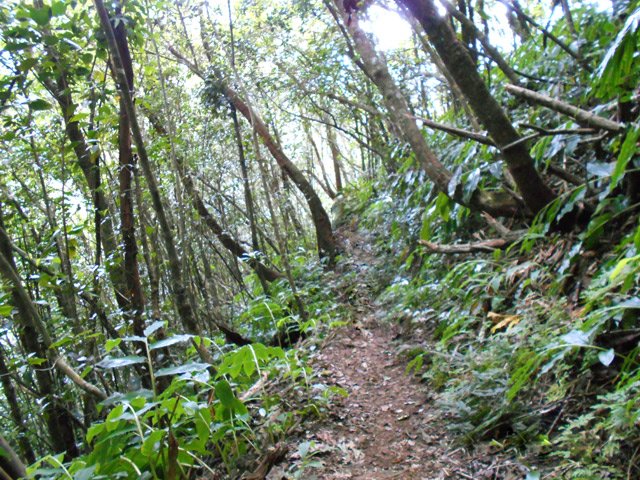 Une des rares portions plates du sentier de descente