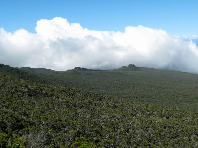 Piton de Fourche et Piton Gueule Ronde dans la montée aux Puys Ramond
