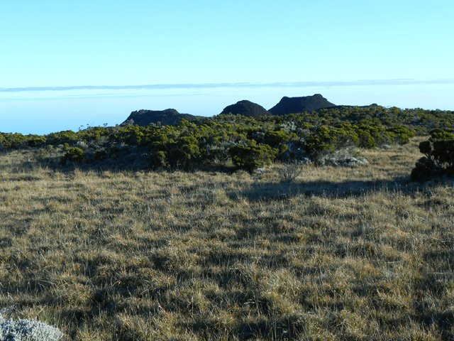 Des savanes herbeuses vers le Piton de l'Eau