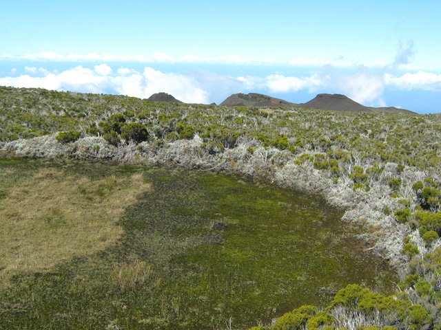 Des zones marécageuses se remplissent d'eau lorsqu'il pleut beaucoup