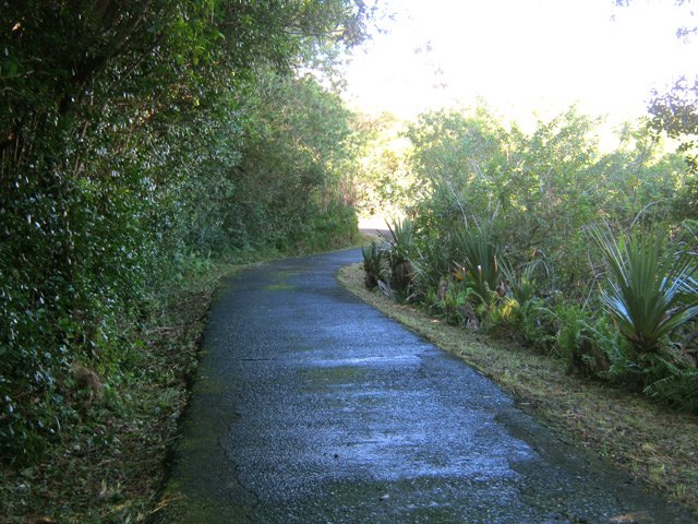 Quelques passages sur le route forestière vers le gîte de Basse Vallée
