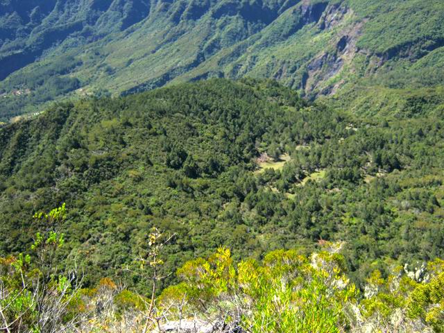 Le Plateau des Calumets et l'élevage de cerfs