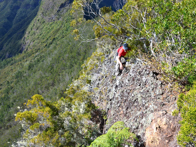 Passage délicat à cause des branches. Bien cramponner la roche