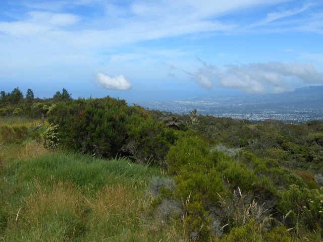 Les prairies, abandonnées, se couvrent doucement de végétation