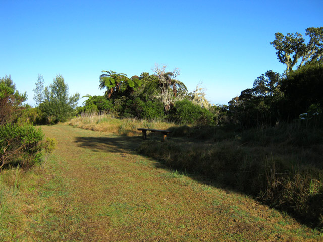 Chemin de Camp Mussard menant aux pâturages de la Mare