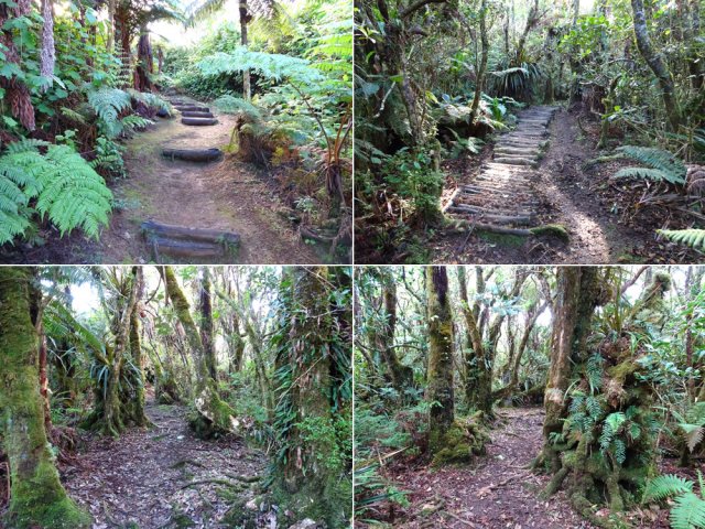 Quelques portions de ce magnifique sentier boueux