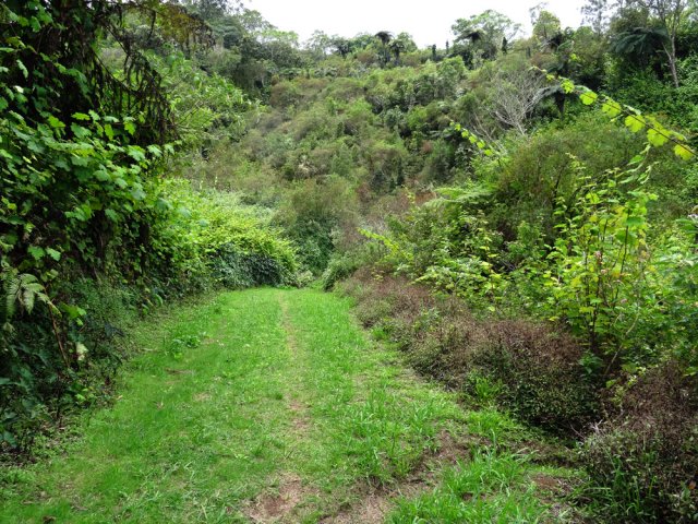 La piste débute par des parties dénudées ou couvertes d'herbe