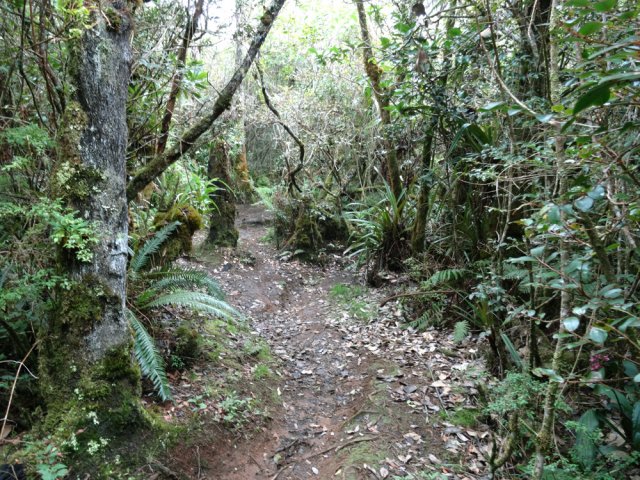 Quelques portions boueuses peuvent être glissantes