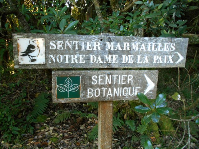 Pancartes vieillissantes pour un très agréable sentier