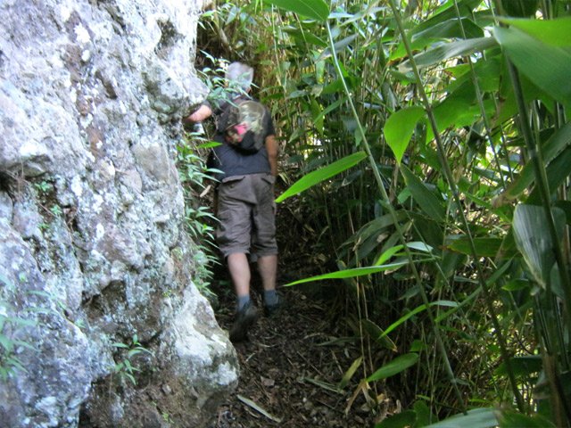 Sentier étroit entre rochers et bambous dans la montée