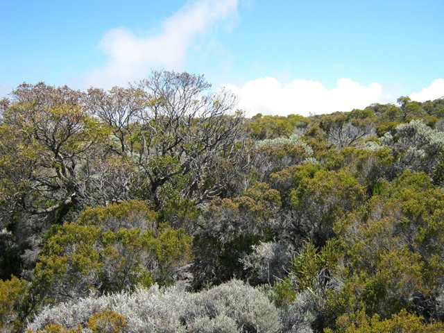 Les arbre sont rares lors de cette traversée en hors sentier