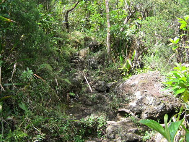 Une portion de sentier caillouteuse