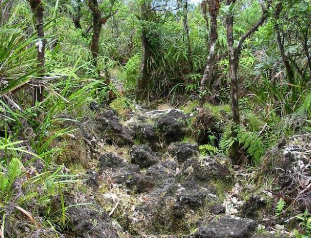 Le sentier est par endroits difficile pour les chevilles.