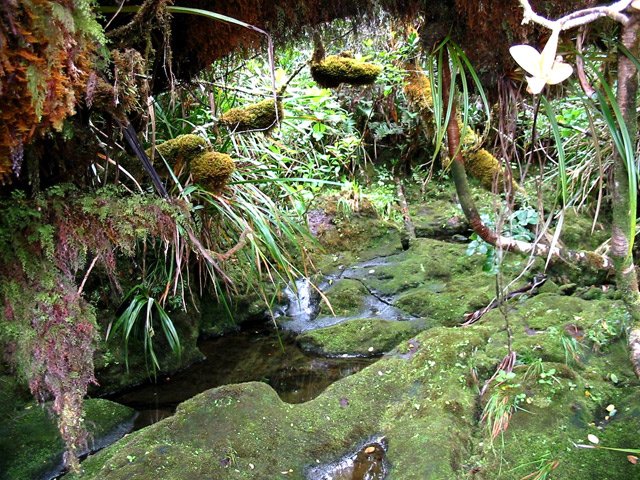 Passage d'une belle ravine au sol glissant