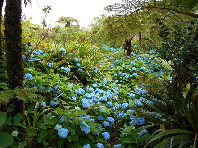 L'emplacement de l'ancien abri du cratère de Takamaka