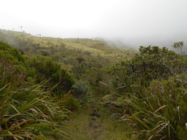 Le sentier rejoignant le sentier du Tremblet est très souvent boueux
