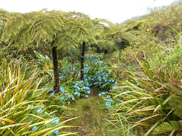 Emplacement de l'ancien abri du Tremblet, totalement démonté