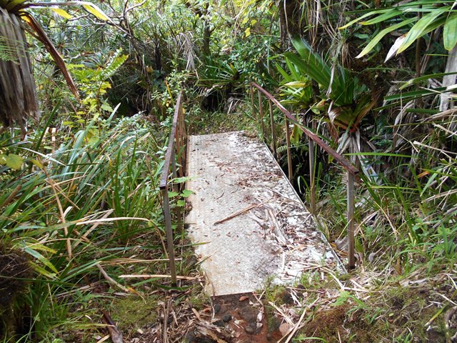 Une douzaine de passerelles en alu jalonnent la descente vers le Tremblet