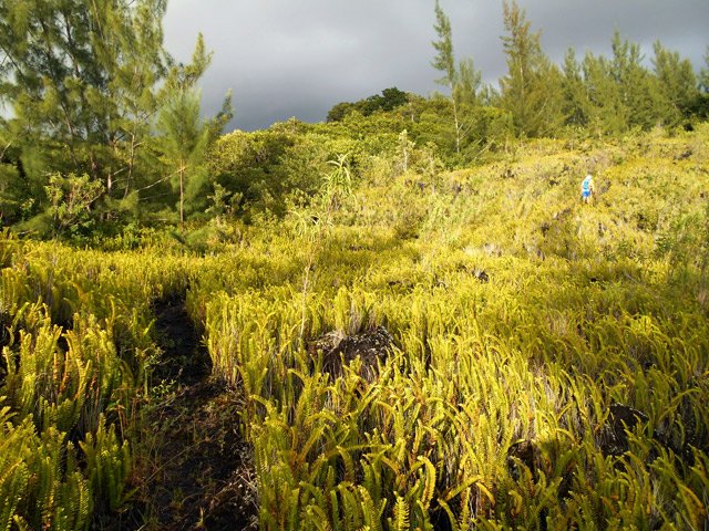 Le sentier est encore en bon état malgré le manque d'entretien