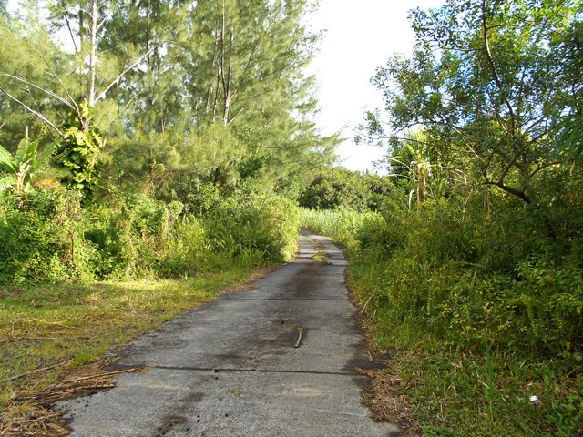 Arrivée à la Route Forestière de Takamaka