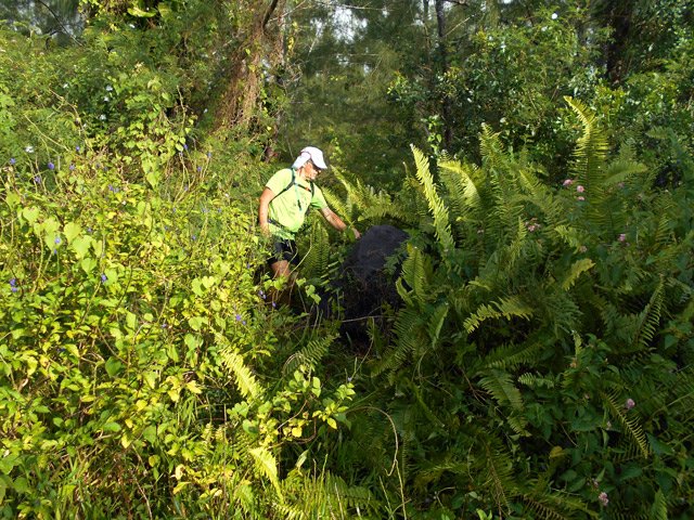 Le rocher, repère pour poursuivre vers l'amont