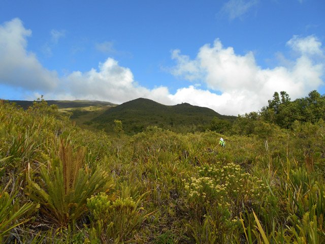 Le relief s'accentue à l'approche des pitons de Takamaka