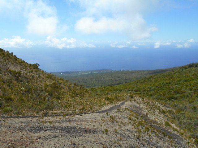 La végétation n'a pas totalement envahi les flancs du Piton de Takamaka