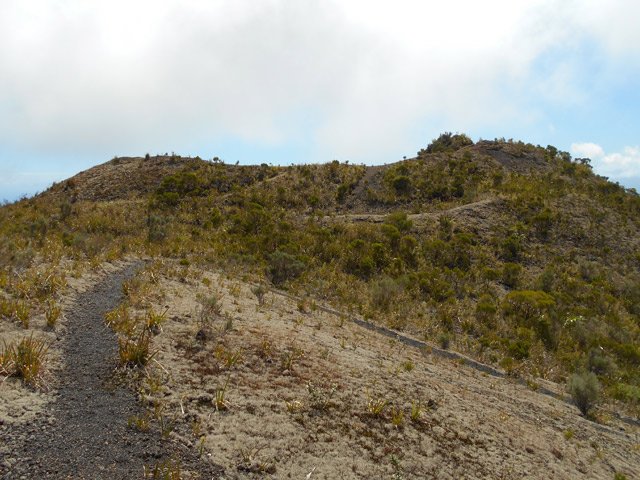 On peut se promener un peu n'importe où par manque de plantes qui gênent la marche