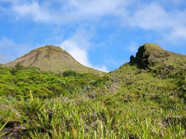 Cratère de 1978 de la Coulée de Takamaka.