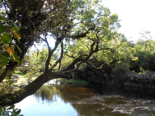 Après la pluie : Beaucoup d'eau mais noire comme le nom du bras