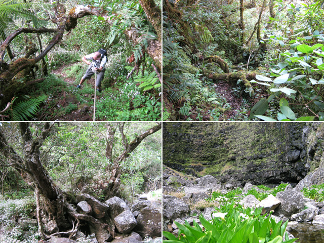 Cheminement vers le grand bassin de la cascade sous la source du Bras Noir
