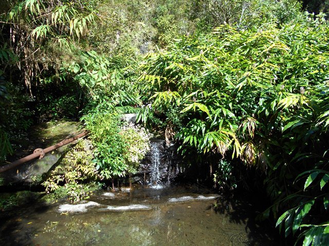 Le petit bassin en amont de l'oratoire
