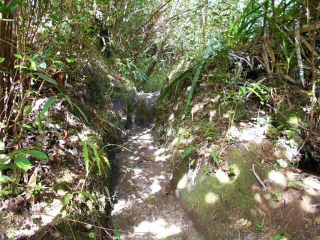 Sentier creusé part l'importante fréquentation