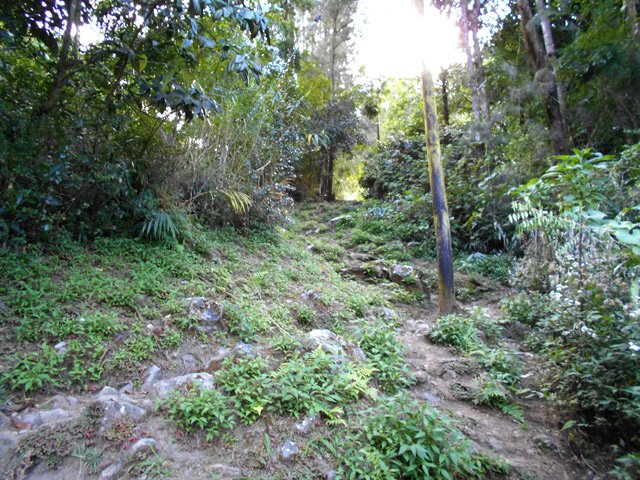 Forte pente caillouteuse en début de sentier