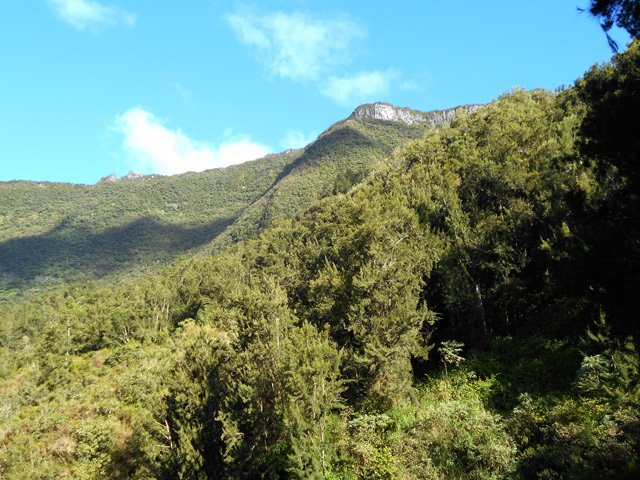 Paysages sur le Cap Anglais et le rempart de Bélouve