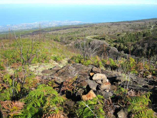La route forestière des Tamarins qu'on retrouvera dans quelques heures
