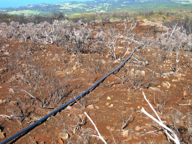 Suivre le tuyau pour ne pas s'égarer