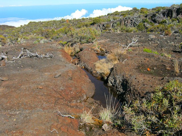 Vers le Piton Rouge, il n'y a plus que quelques rigoles