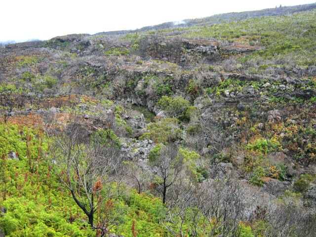 En s'approchant de la route, la vallée est très profonde