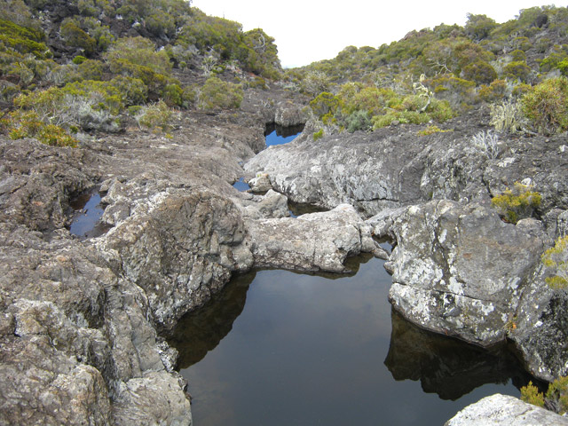 Paysage classique du Fond Simambry